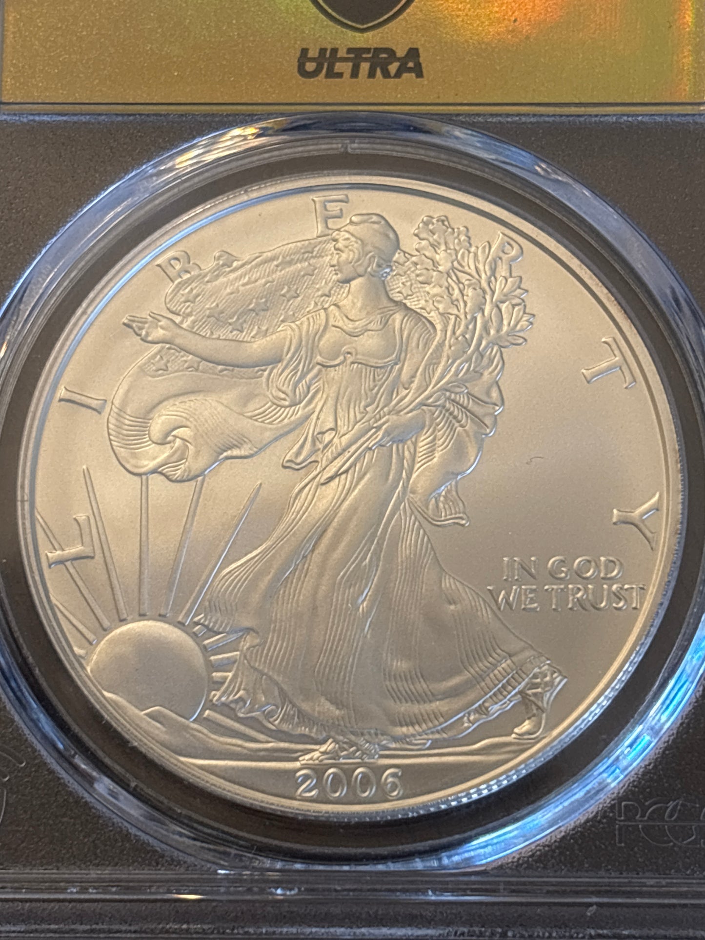 Ultra Breaks Gold Hologram 2006 West Point Burnished Silver eagle