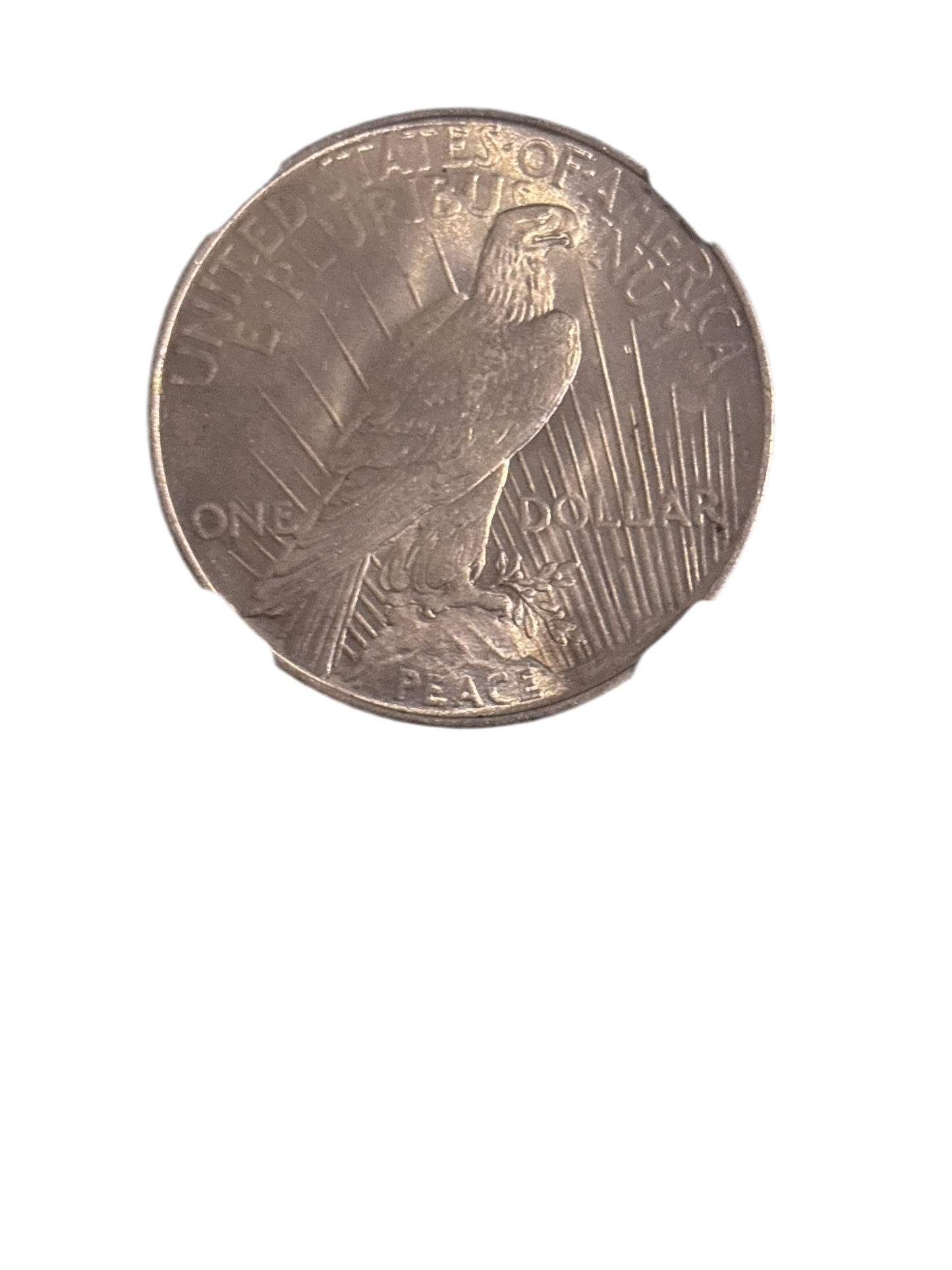 1922 BU Peace Dollar!